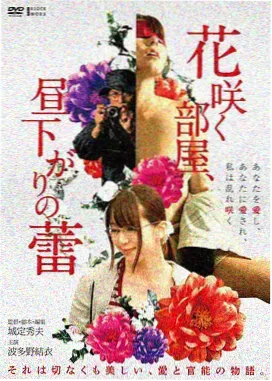 独立地下室全景声影音厅方案